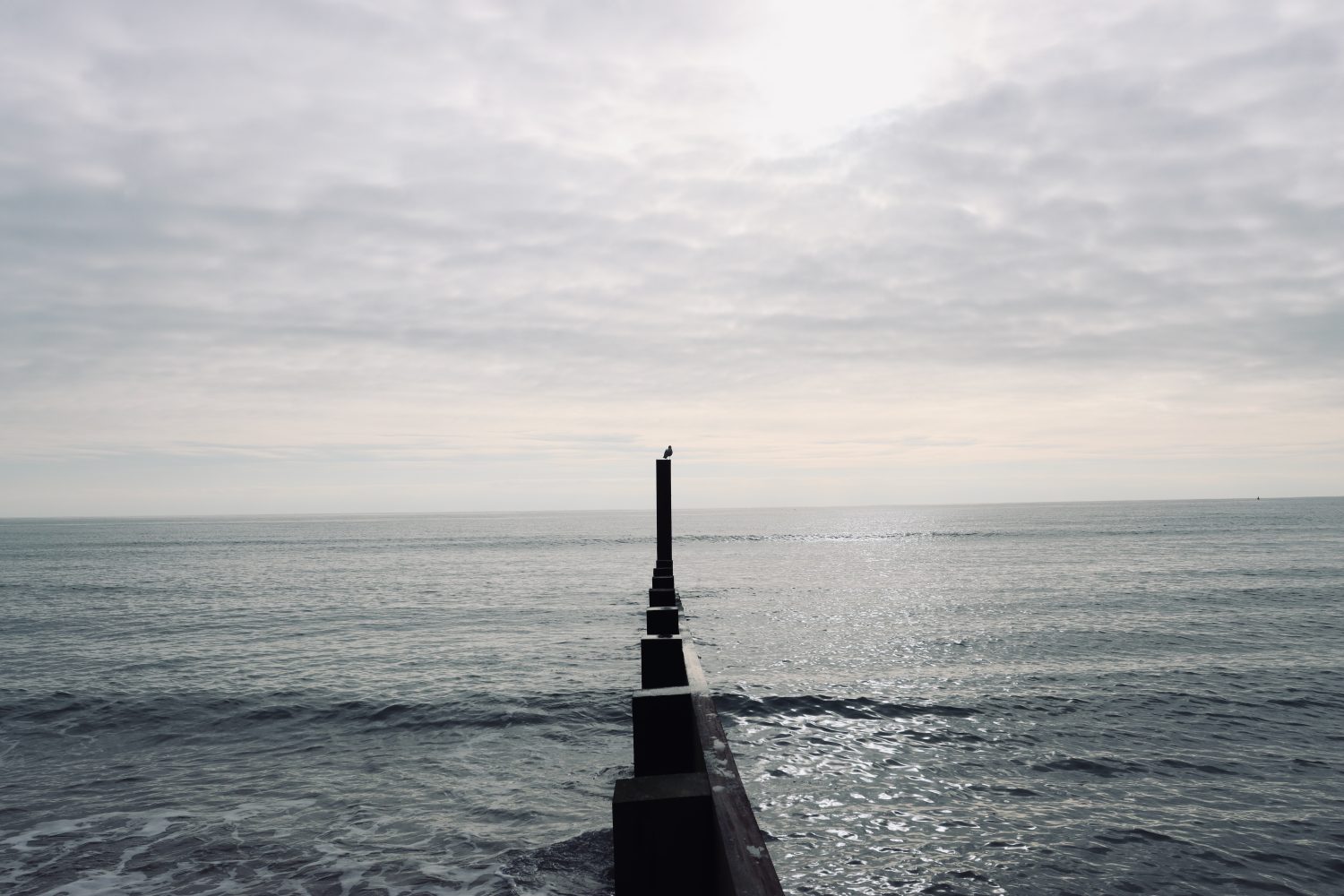 Working In Solitude