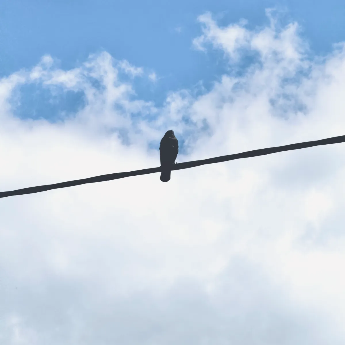 The Mental Prison